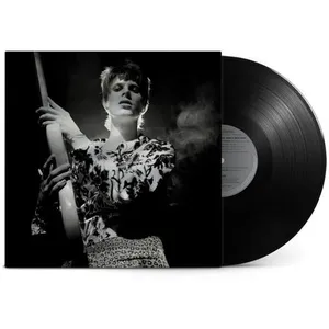 Comparateur de prix : PARLOPHONE LP  de David Bowie - Rock 'n' Roll star! - pour Unisexe - Standard Standard