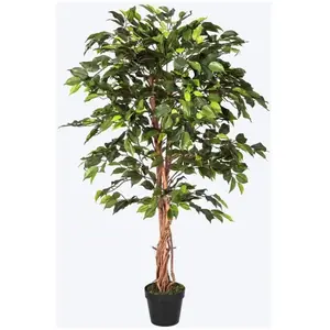 HOMESCAPES Figuier pleureur Ficus Benjamina Vert en pot 122 cm pas cher