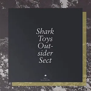 Mt. St. Mtn Records Outsider Sect pas cher