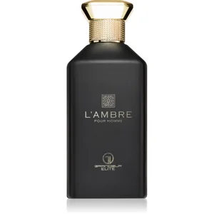 Grandeur L'Ambre Eau de Parfum pour homme 100 ml pas cher