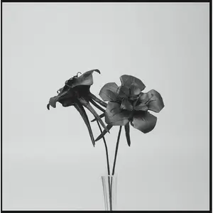 PLANET MU Dark lotus pas cher