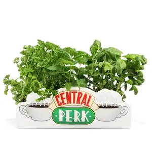 Comparateur de prix : Half Moon Bay HMB Friends - Central Perk - Pot de Fleurs/Vase de Table