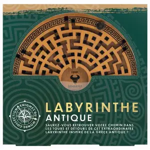 Casse-tête Professor puzzle Labyrinthe antique pas cher