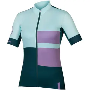 Comparateur de prix : Maillot Endura FS260 Print manche courte bleu clair vert femme - L