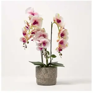 HOMESCAPES Orchidée artificielle rose en pot en ciment naturel 64 cm pas cher