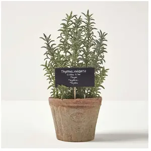 HOMESCAPES Plante aromatique artificielle en pot, Thym pas cher