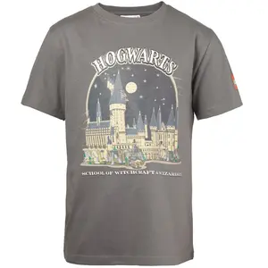 LEGO Harry Potter T-shirt Harry Potter - Gris 5008033 pas cher