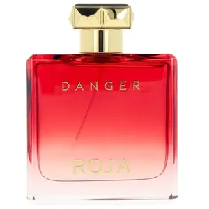 Roja Parfums Danger Pour Homme EDP 100 ml M pas cher