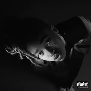 AWAL-AGE 101 Grey Area (Coloured Lp/Gatefold) [Vinyl LP] pas cher