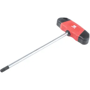 Rs Pro - Clé Torx T40 ( Prix pour 1 ) pas cher