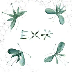 Comparateur de prix : La Vida Es un Mus Exo