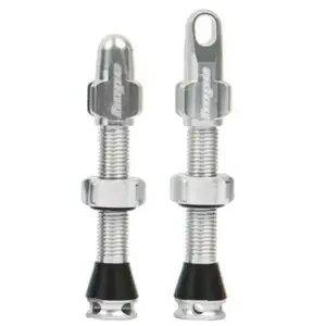 Paire de valves tubeless hope argent pas cher