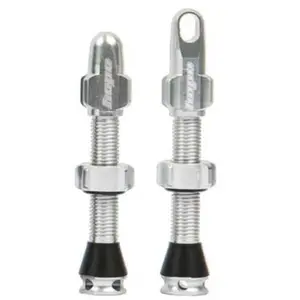 Paire de valves tubeless hope argent pas cher