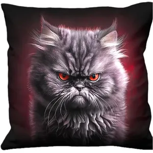 Spiral Anger Management Unisexe Coussin Multicolore 100% Coton pas cher