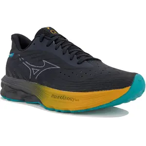 Chaussures de running Mizuno Wave Skyrise 6 Gris 45 J1GC250951 pas cher