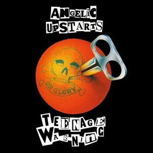 Disques vinyles populaires : Teenage Warning pas cher