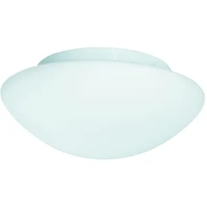 Searchlight Applique d'extérieur en verre Tokyo 23 cm IP44