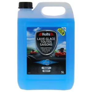 HOLTS Lave-glace Toutes Saisons -18°C + bec 5L pas cher