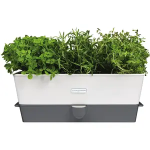 Cole&Mason Cole & Mason H105349 Burwell Pot à Herbes Aromatiques avec Système D'irrigation Auto-Arrosage, Place pour 3 Pots, Blanc/Gris, 13,5 cm x 35 cm x 12,5 cm pas cher