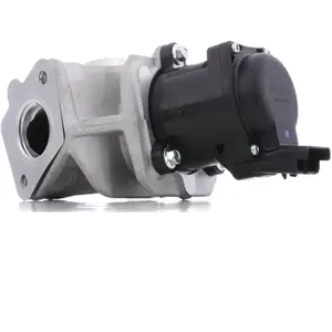 Comparateur de prix : Delphi Technologies EG10401-12B1 Vanne EGR
