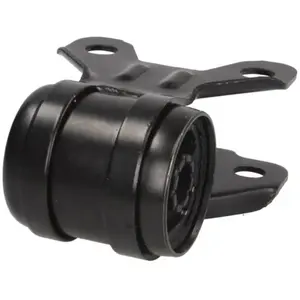 Suspension, bras de liaison TD1641W Delphi TD1641W pas cher