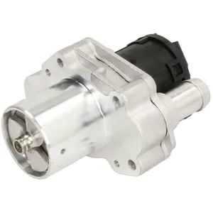 Delphi Technologies EG10486-12B1 Vanne EGR pas cher