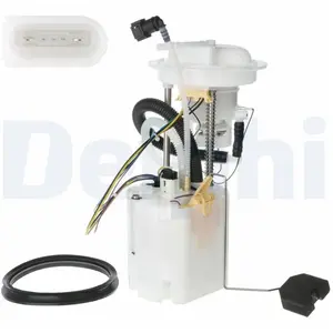 Delphi Unité d'injection de carburant FG126812B1 pas cher