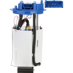 Delphi Technologies FG2435-12B1 Ensemble De Module De Pompe À Carburant