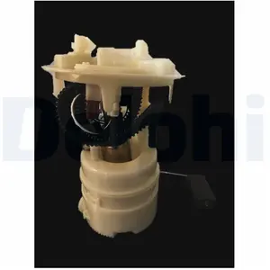 Delphi Unité d'injection de carburant FG200212B1 pas cher