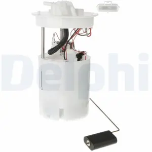 Delphi Unité d'injection de carburant FG200512B1 pas cher