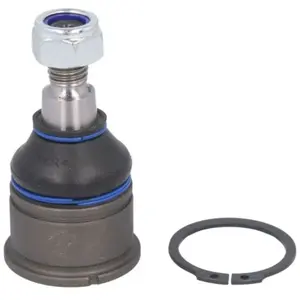 Comparateur de prix : DELPHI Rotule de suspension pour ROVER: 800 Series & HONDA: Legend (Ref: TC437)