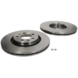 Jeu de 2 disques de frein DELPHI BG3036 - Réf. APBG3036 pas cher