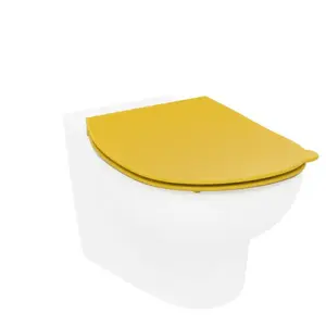 Comparateur de prix : Ideal Standard Contour 21 Abattant WC pour enfant, S453679,