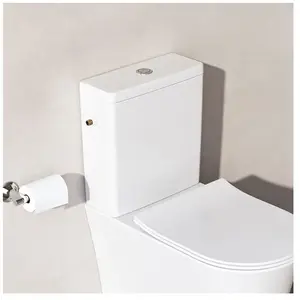 Ideal Standard La Dolce Vita Réservoir de chasse, E271301,