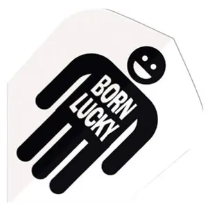 Non communiqué Ailettes Harrows Quadro 2002 Born LuckyVendu parfnac