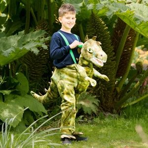 Comparateur de prix : amscan Costume pour enfants Dinosaure vert 4 à 6 ans 