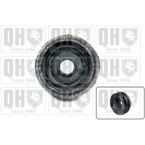 Coupelle de suspension QUINTON HAZELL EMR6006 - Réf. EMR6006 pas cher