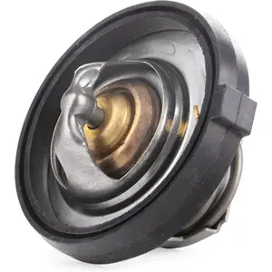 Thermostat d'eau QUINTON HAZELL QTH490K - Réf. QTH490K pas cher