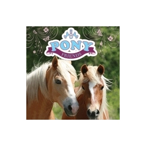 Comparateur de prix : Square Enix PONY FRIENDS / JEU CONSOLE NINTENDO DS