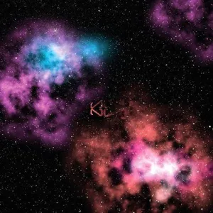 Labels N Ninja Tune Falling Star [Import]Vendu parrakuten