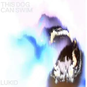Ninja Tune This dog can swimVendu paramazon