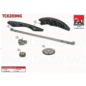 FAI AutoParts TCK203NG Jeu de chaînes de distribution pas cher