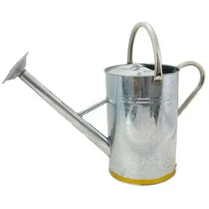 Gardman 34910 Arrosoir en Cuivre de 22 x 22 x 40 cm 9 L pas cher