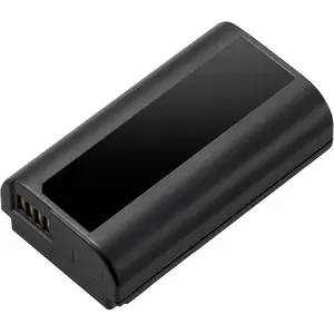 Panasonic Batterie Au Lithium Dmw-blj31e 3050mah 7.4v pas cher
