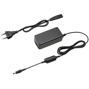 Chargeur secteur - Panasonic - DMW-AC10E - Compact - Léger - Fiable pas cher