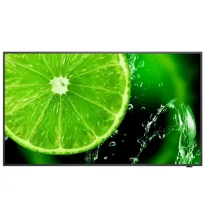 Télévision LCD - NEC - E558 - 55 pouces - Noir - Garantie 2 ans pas cher