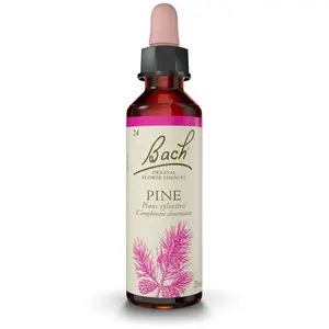 Comparateur de prix : FLEURS DE BACH Original n°24 Pine fleur de bach flacon compte-gouttes 20ml
