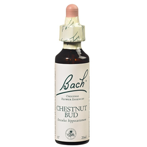Comparateur de prix : Fleurs de bach chesnut bud 20ml