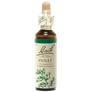 Comparateur de prix : FLEUR DE BACH Original n°15 Holly ou houx" fleur de bach flacon 20ml"