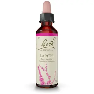 Comparateur de prix : Fleurs De Bach® Original - Fleur de Bach n°19 Larch - Flacon compte-goutte 20mL